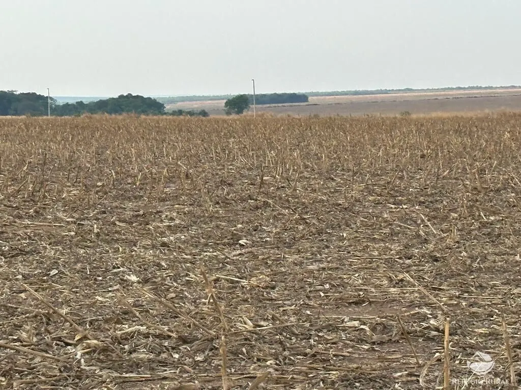Fazenda à venda de 11.000 ha em Paranatinga, MT, Brasil