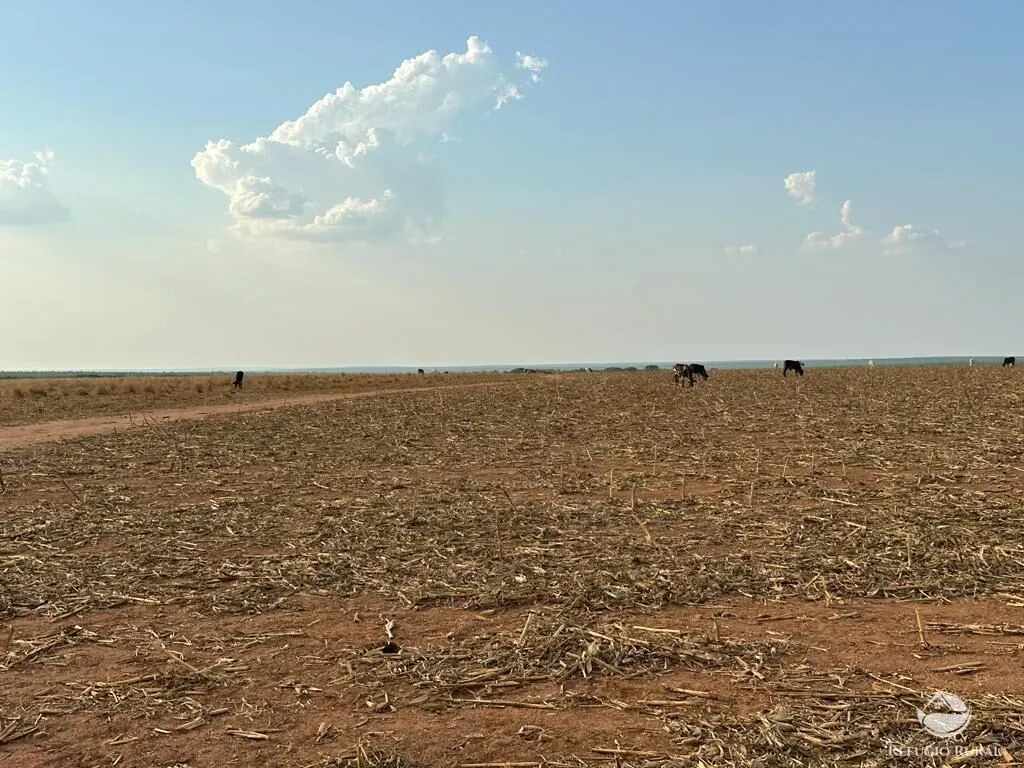 Fazenda à venda de 11.000 ha em Paranatinga, MT, Brasil