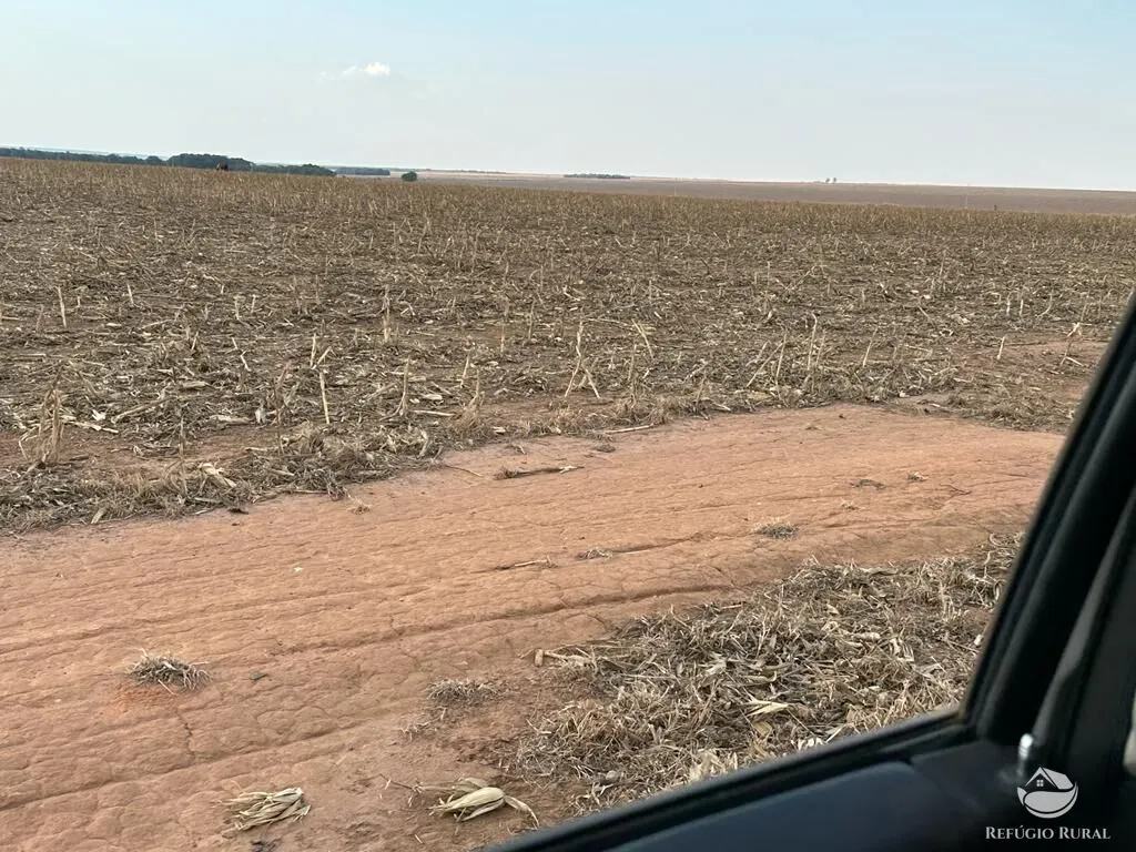 Fazenda à venda de 11.000 ha em Paranatinga, MT, Brasil