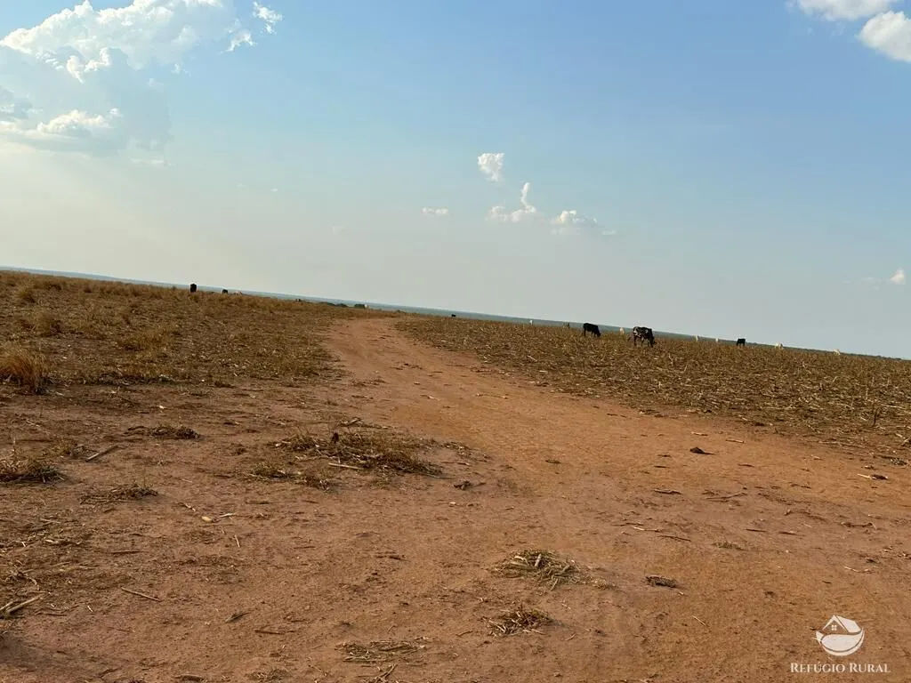 Fazenda à venda de 11.000 ha em Paranatinga, MT, Brasil