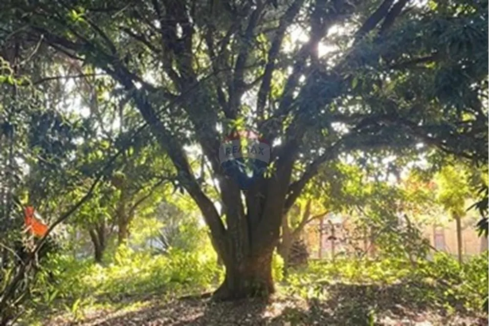 Chácara à venda de 2.000 m² em Araçoiaba da Serra, SP, Brasil