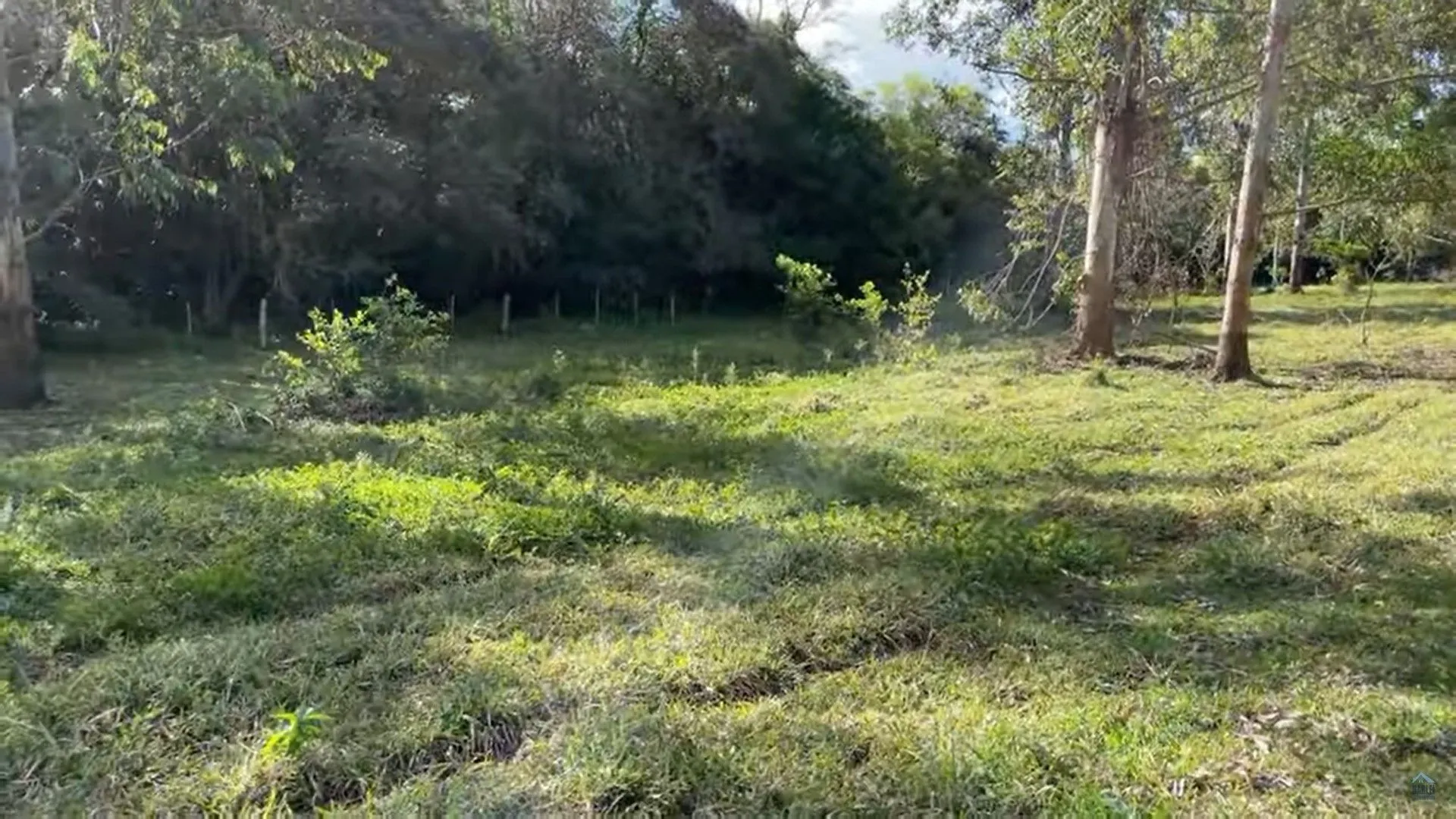 Small farm for sale of 74 acres in Taquara, RS, Brazil