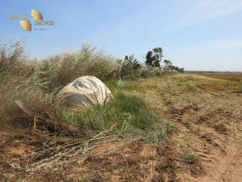 Farm for sale of 2,718 acres in Planalto da Serra, MT, Brazil