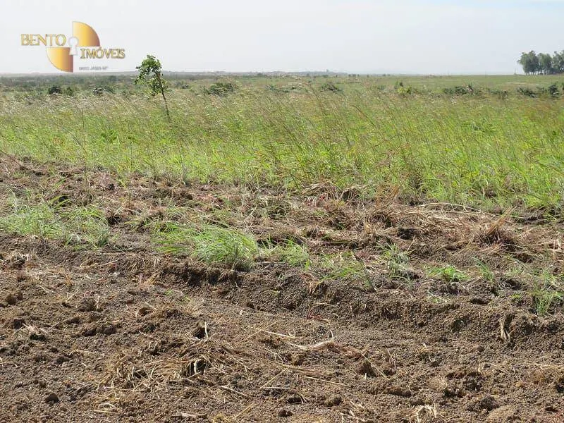 Farm for sale of 2,718 acres in Planalto da Serra, MT, Brazil