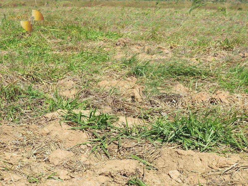 Farm for sale of 2,718 acres in Planalto da Serra, MT, Brazil