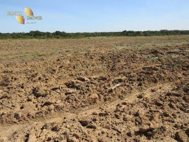 Fazenda à venda de 1.100 ha em Planalto da Serra, MT, Brasil