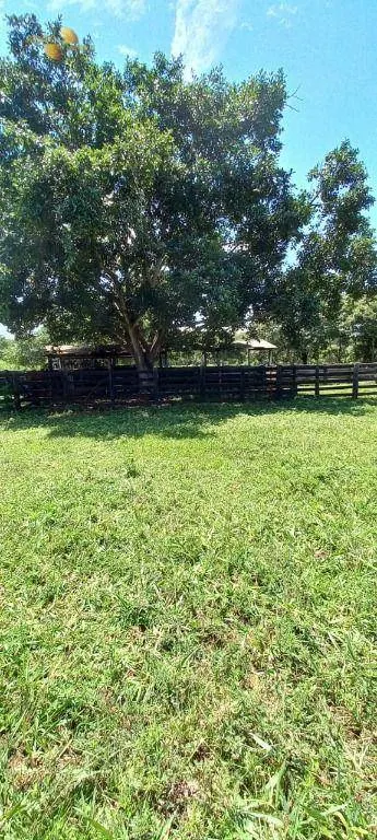 Fazenda à venda de 2.200 ha em Rosário Oeste, MT, Brasil