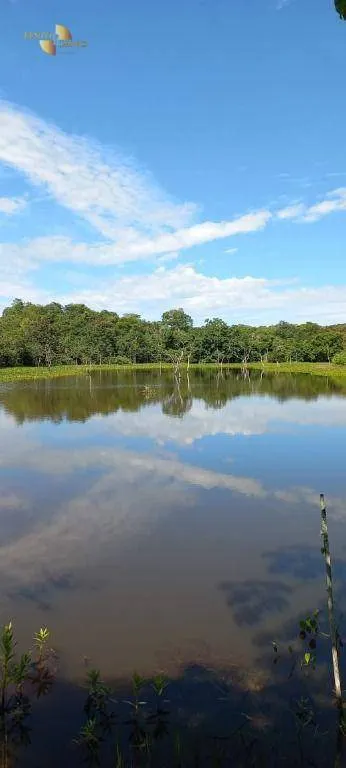 Fazenda à venda de 2.200 ha em Rosário Oeste, MT, Brasil