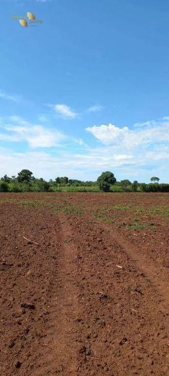 Fazenda à venda de 2.200 ha em Rosário Oeste, MT, Brasil