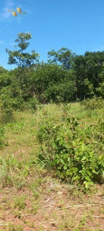 Fazenda à venda de 2.200 ha em Rosário Oeste, MT, Brasil