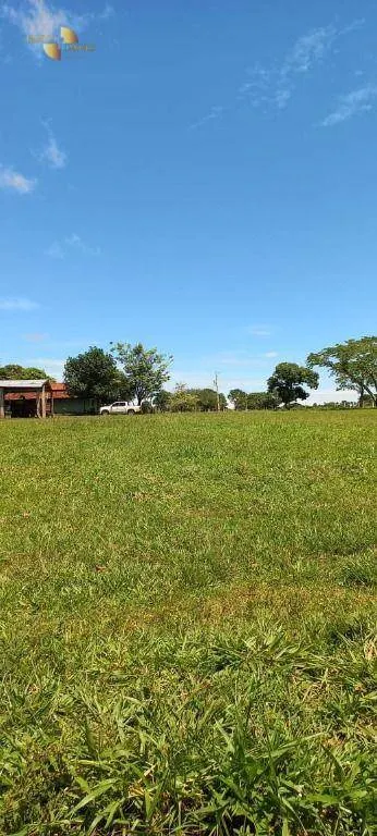 Fazenda à venda de 2.200 ha em Rosário Oeste, MT, Brasil