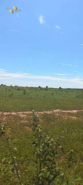 Fazenda à venda de 2.200 ha em Rosário Oeste, MT, Brasil