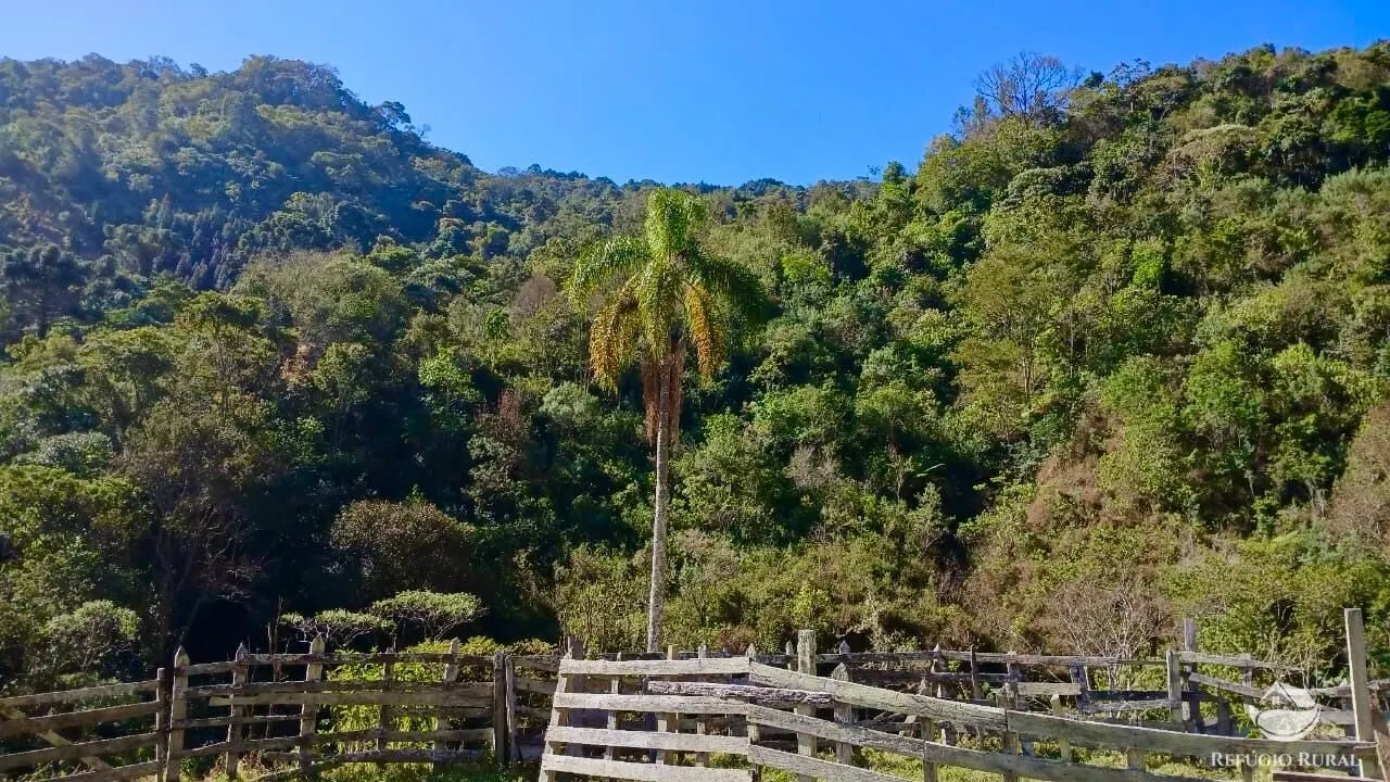 Terreno à venda de 60 ha em Campos do Jordão, SP, Brasil
