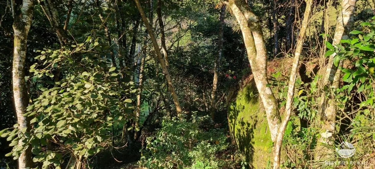 Terreno à venda de 2 ha em São José dos Campos, SP, Brasil