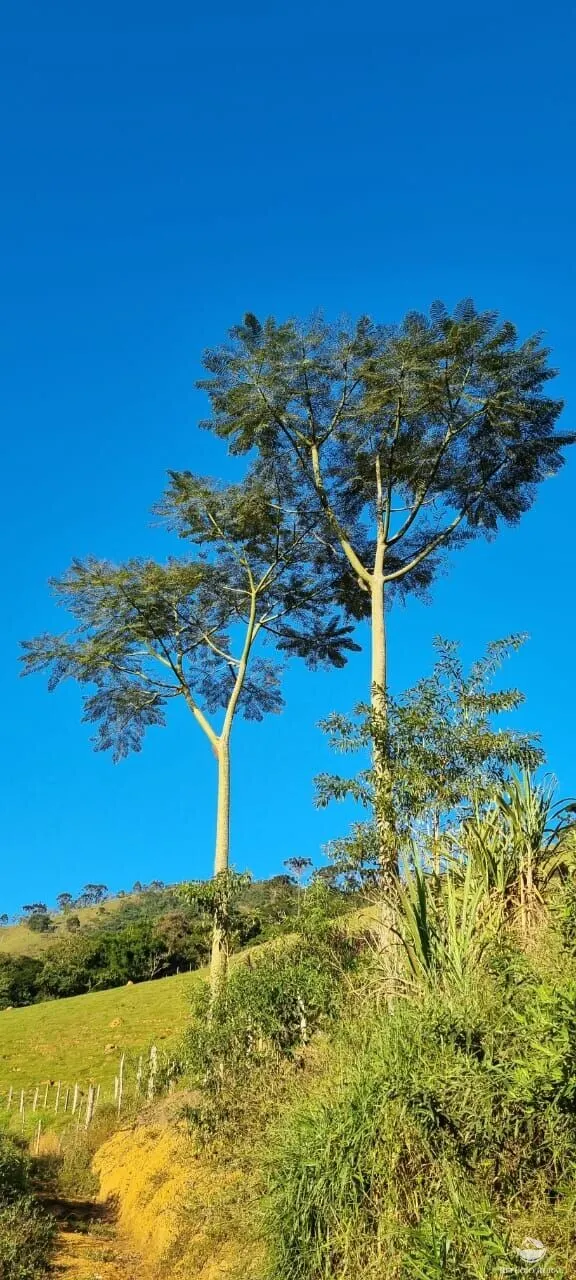 Terreno à venda de 2 ha em São José dos Campos, SP, Brasil