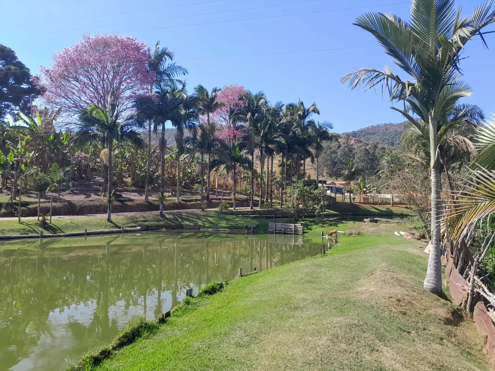 Sítio à venda de 2 ha em Monte Sião, MG, Brasil