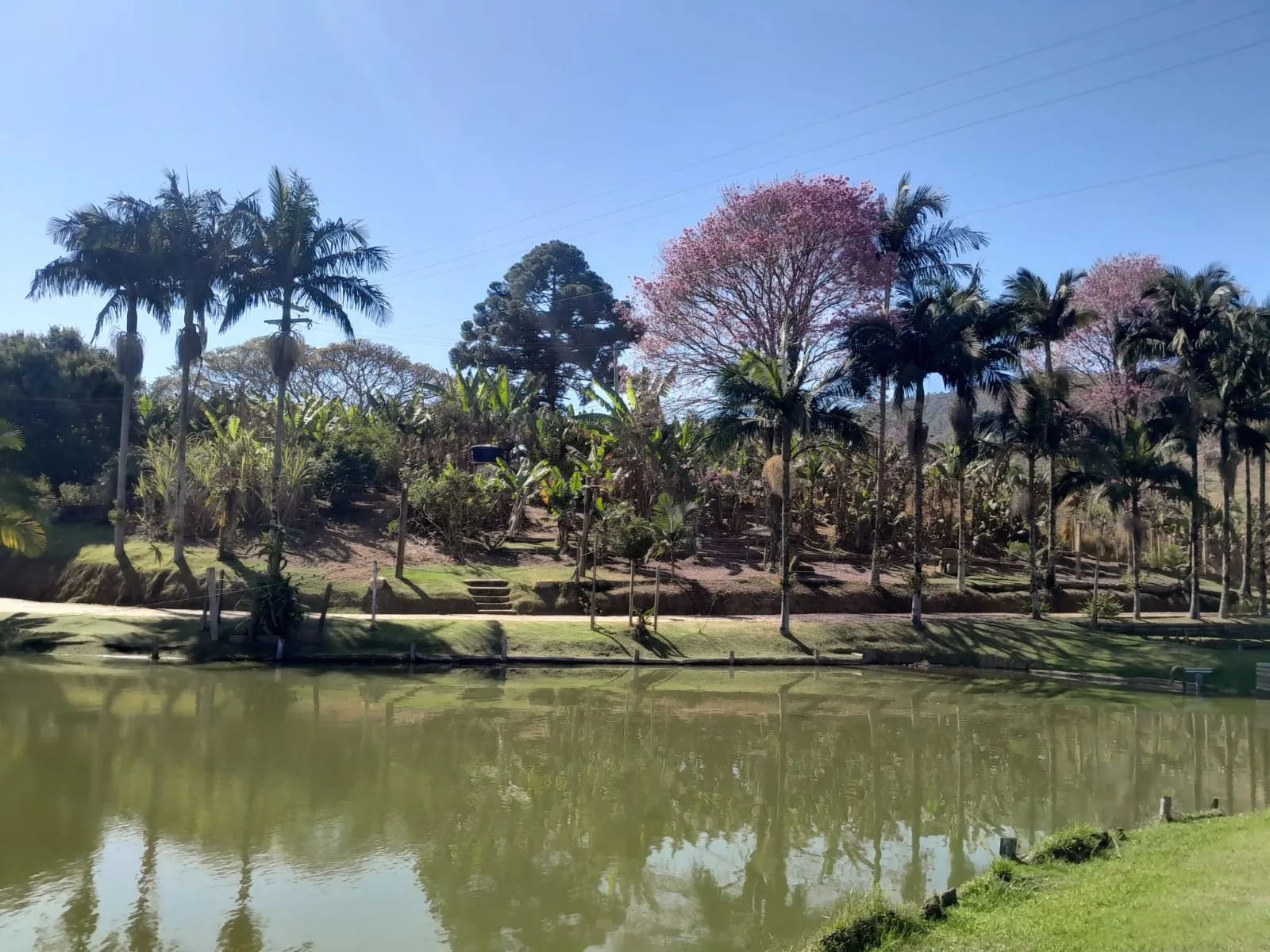 Sítio à venda de 2 ha em Monte Sião, MG, Brasil
