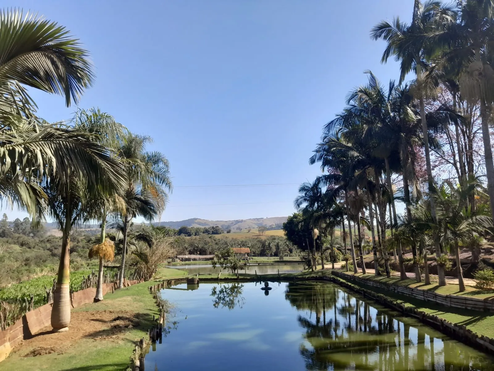 Sítio à venda de 2 ha em Monte Sião, MG, Brasil
