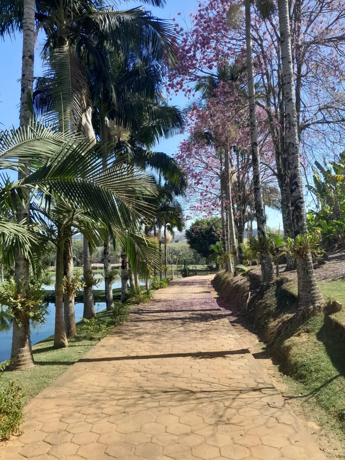 Sítio à venda de 2 ha em Monte Sião, MG, Brasil