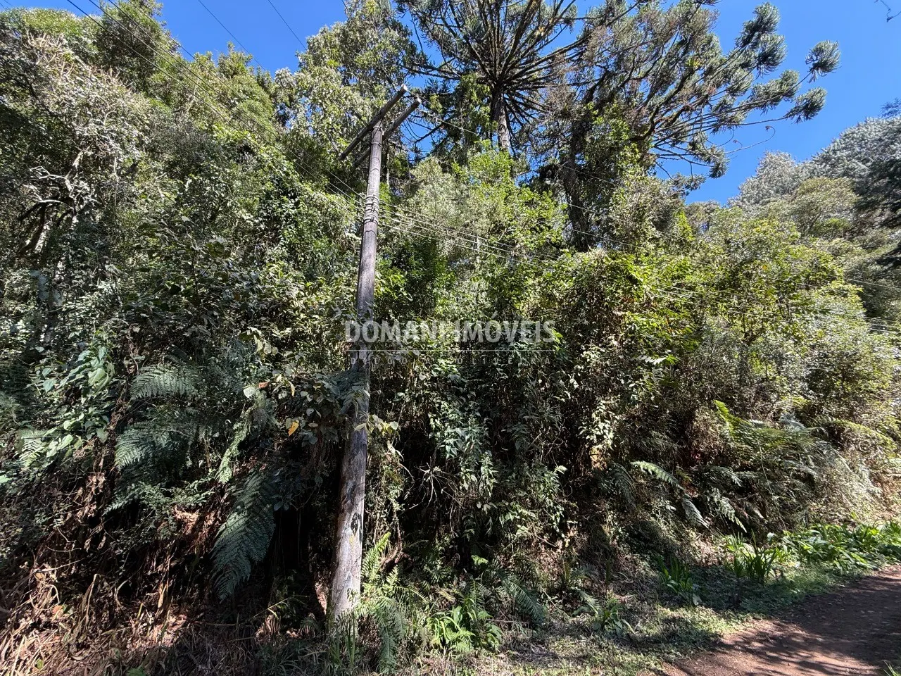 Plot for sale of 1,212 m² in Campos do Jordão, SP, Brazil