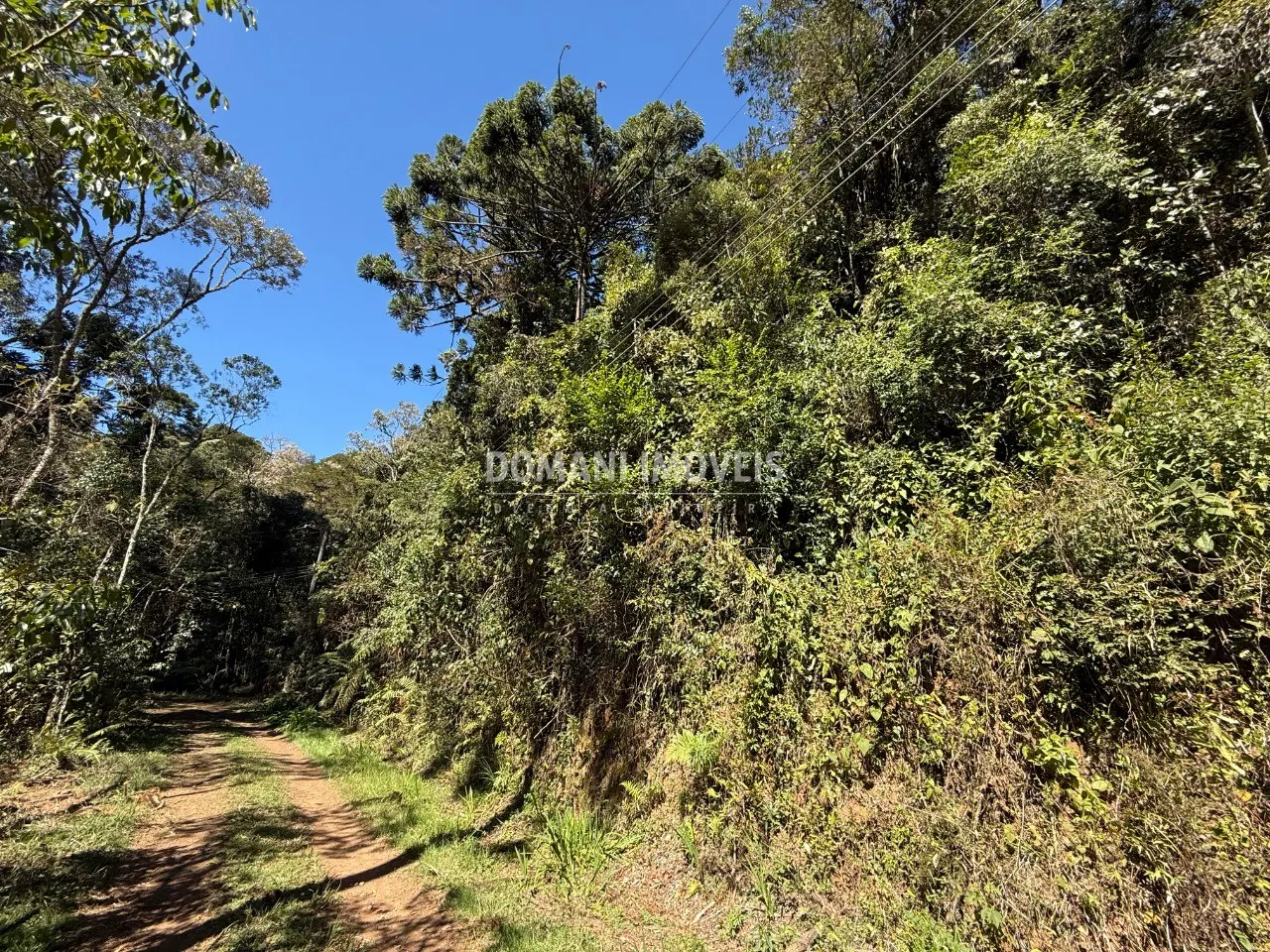 Plot for sale of 1,212 m² in Campos do Jordão, SP, Brazil