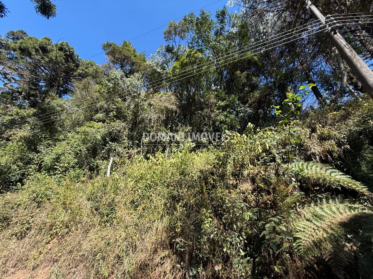 Plot for sale of 1,212 m² in Campos do Jordão, SP, Brazil