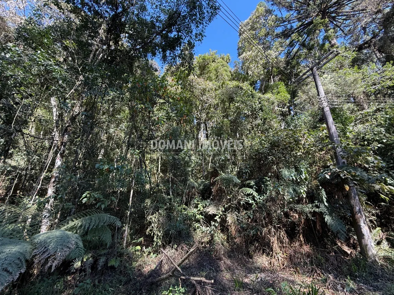 Plot for sale of 1,212 m² in Campos do Jordão, SP, Brazil