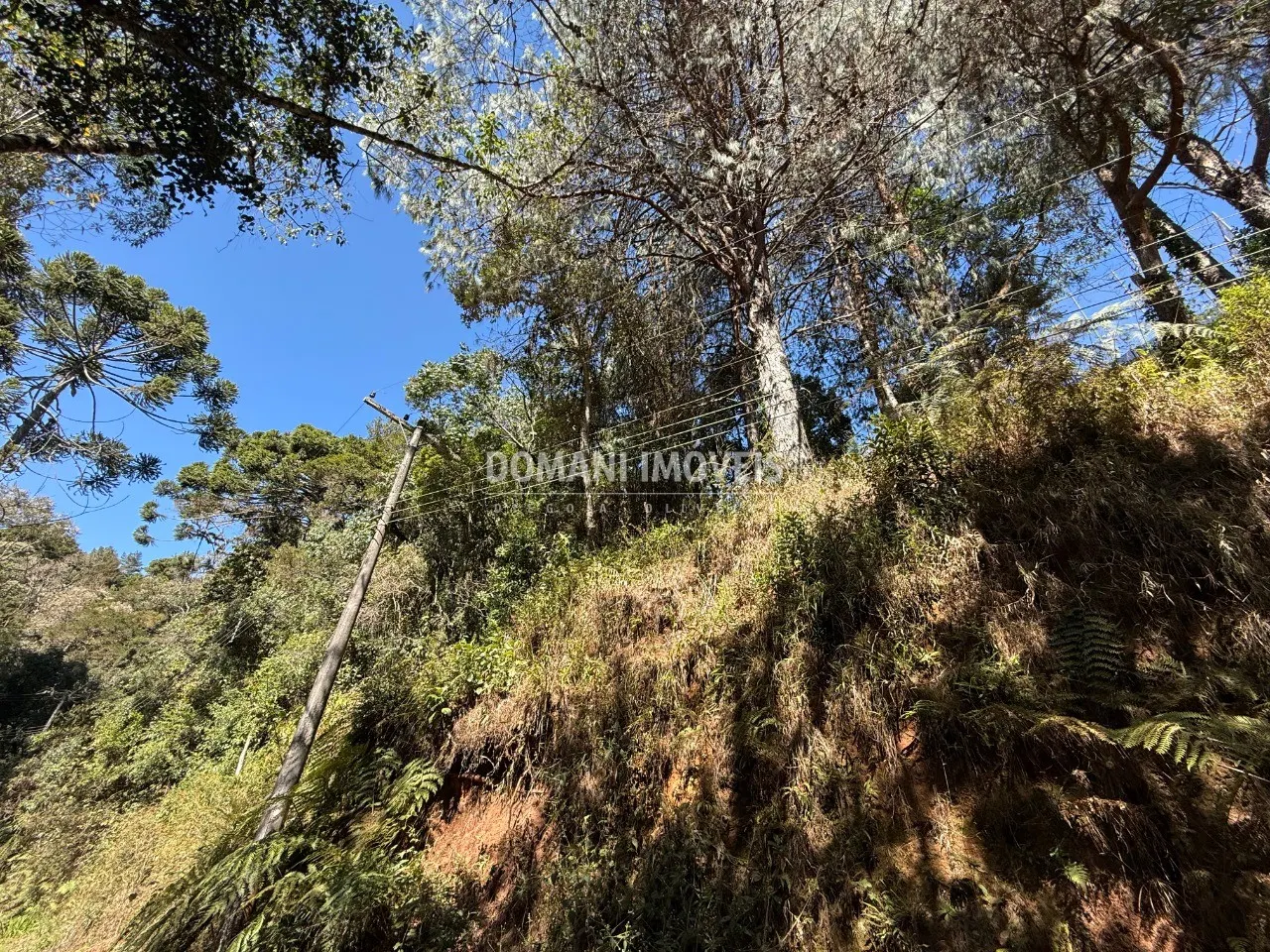 Plot for sale of 1,212 m² in Campos do Jordão, SP, Brazil