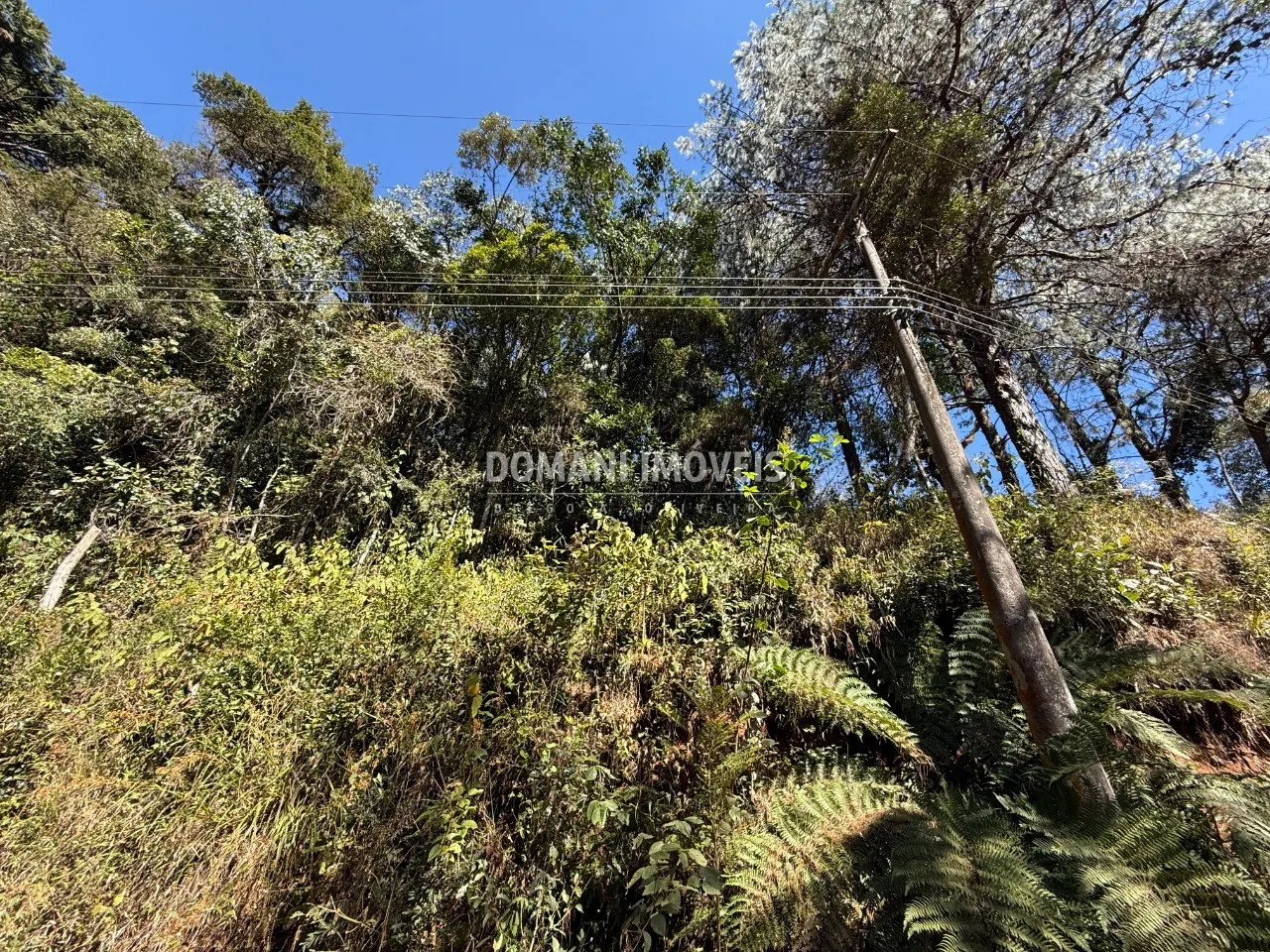 Plot for sale of 1,212 m² in Campos do Jordão, SP, Brazil