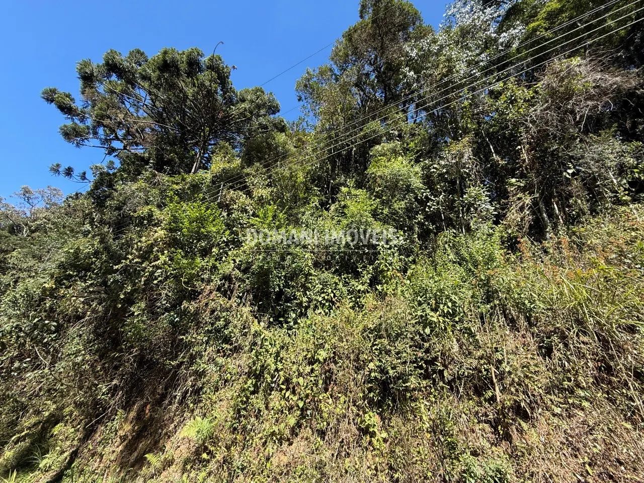 Plot for sale of 1,212 m² in Campos do Jordão, SP, Brazil