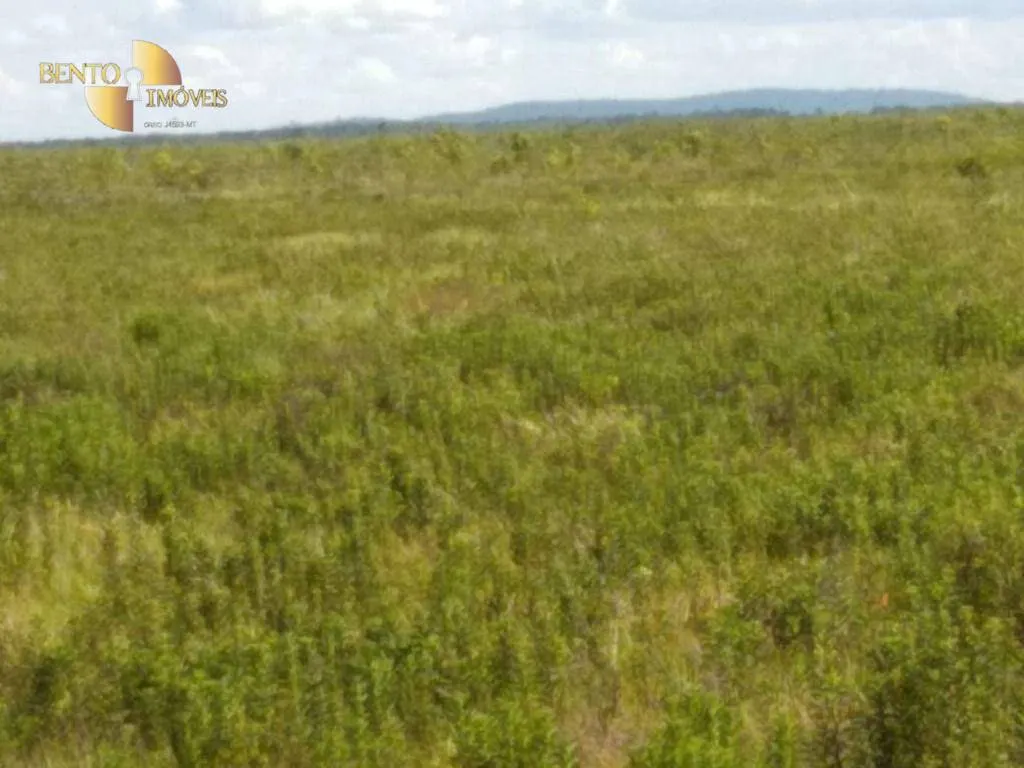 Fazenda à venda de 7.000 ha em Santo Antônio do Leverger, MT, Brasil