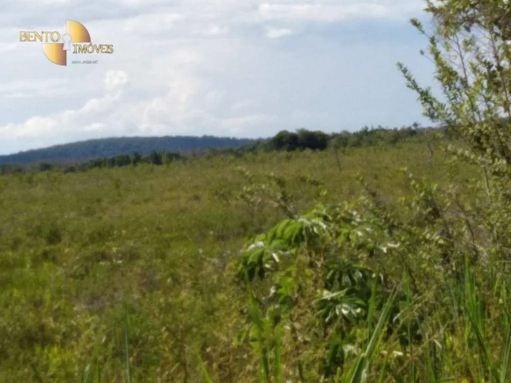 Fazenda à venda de 7.000 ha em Santo Antônio do Leverger, MT, Brasil