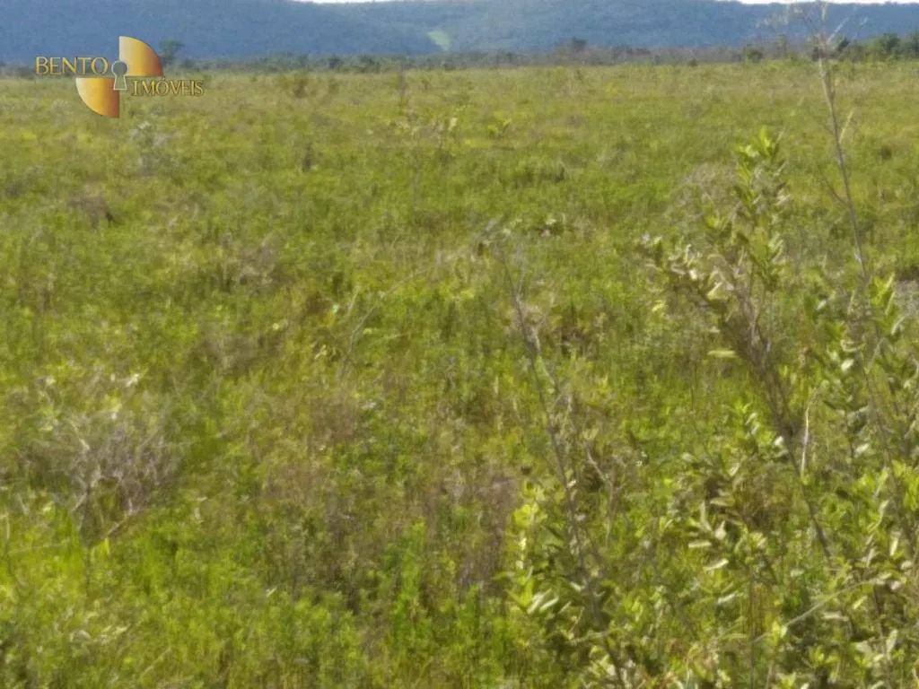 Fazenda à venda de 7.000 ha em Santo Antônio do Leverger, MT, Brasil