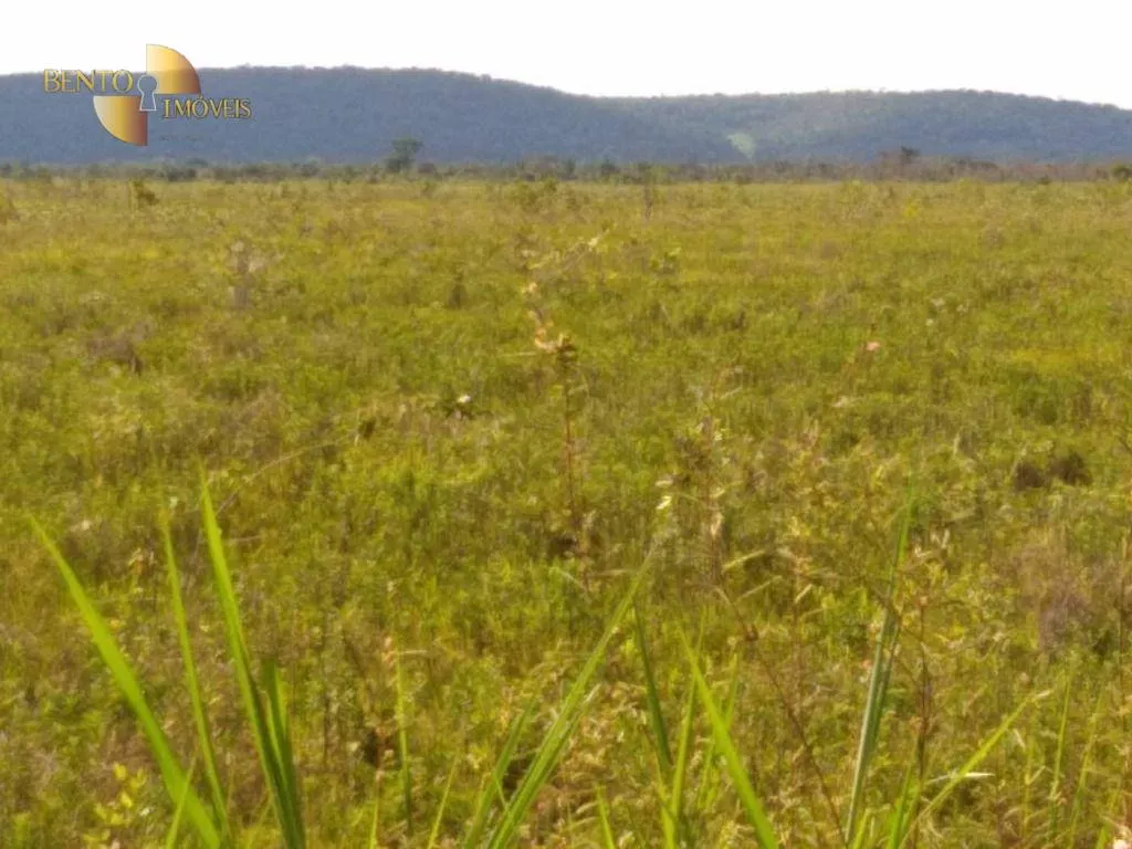 Fazenda à venda de 7.000 ha em Santo Antônio do Leverger, MT, Brasil