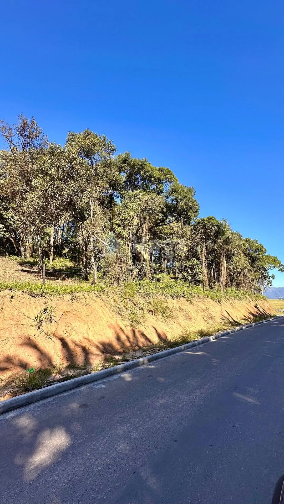 Fazenda à venda de 2 ha em Canelinha, SC, Brasil