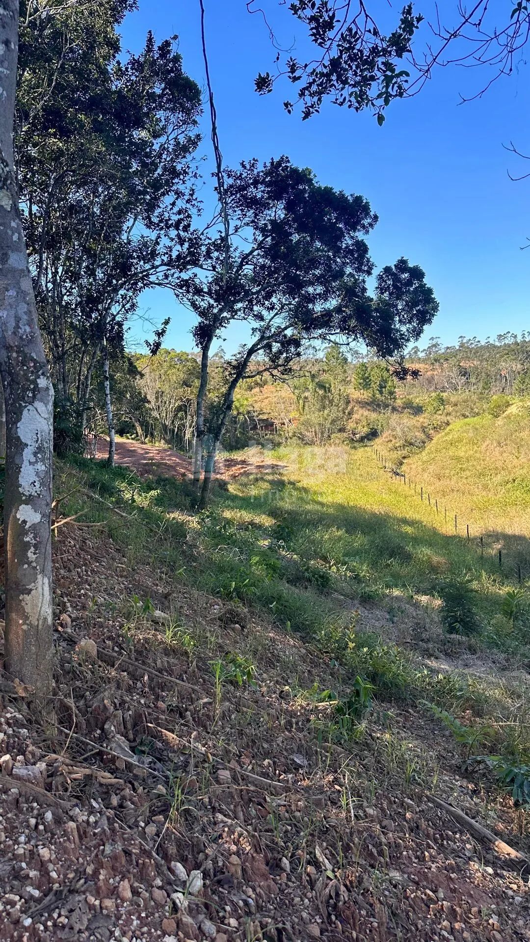Fazenda à venda de 2 ha em Canelinha, SC, Brasil