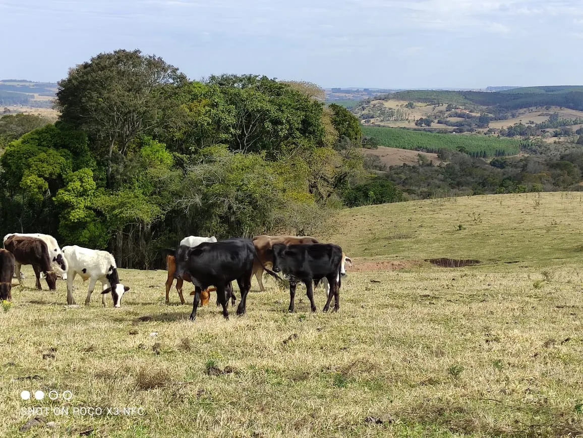 Sítio à venda de 15 ha em Angatuba, SP, Brasil