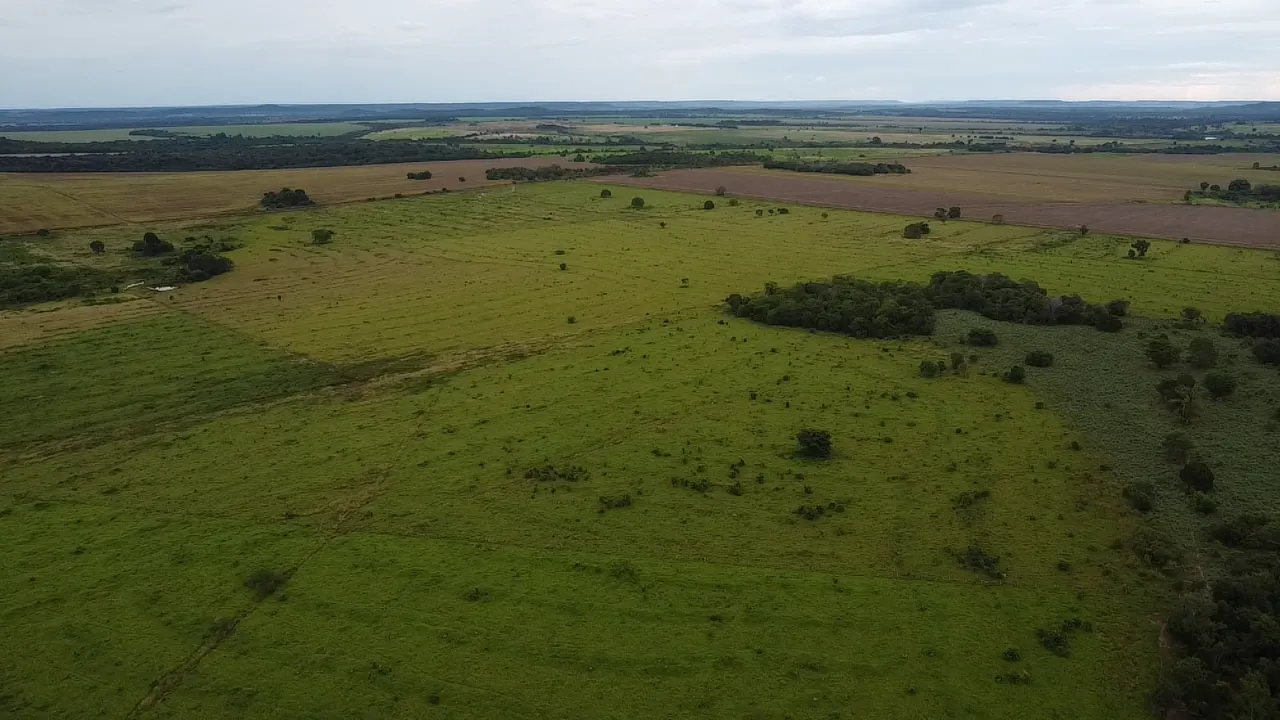 Fazenda à venda de 242 ha em Confresa, MT, Brasil