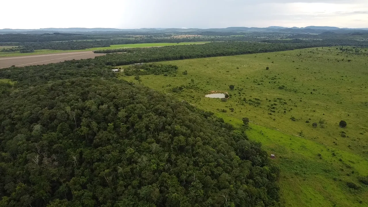 Fazenda à venda de 242 ha em Confresa, MT, Brasil