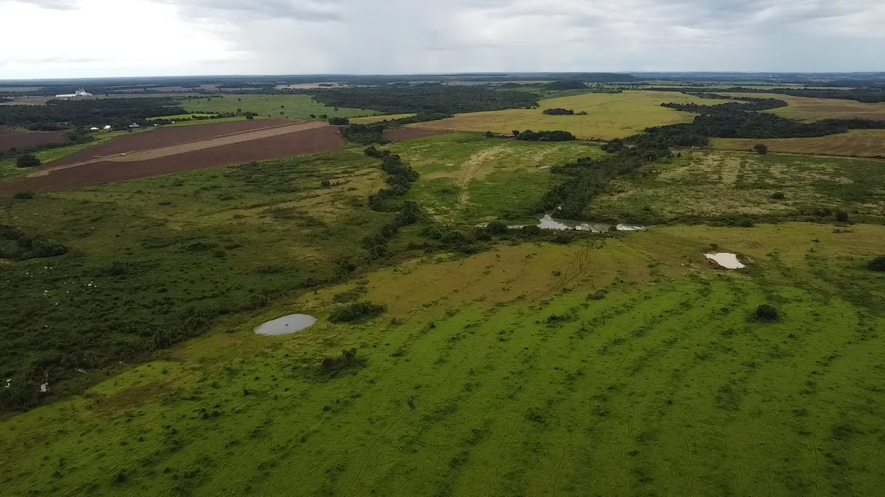 Fazenda à venda de 242 ha em Confresa, MT, Brasil
