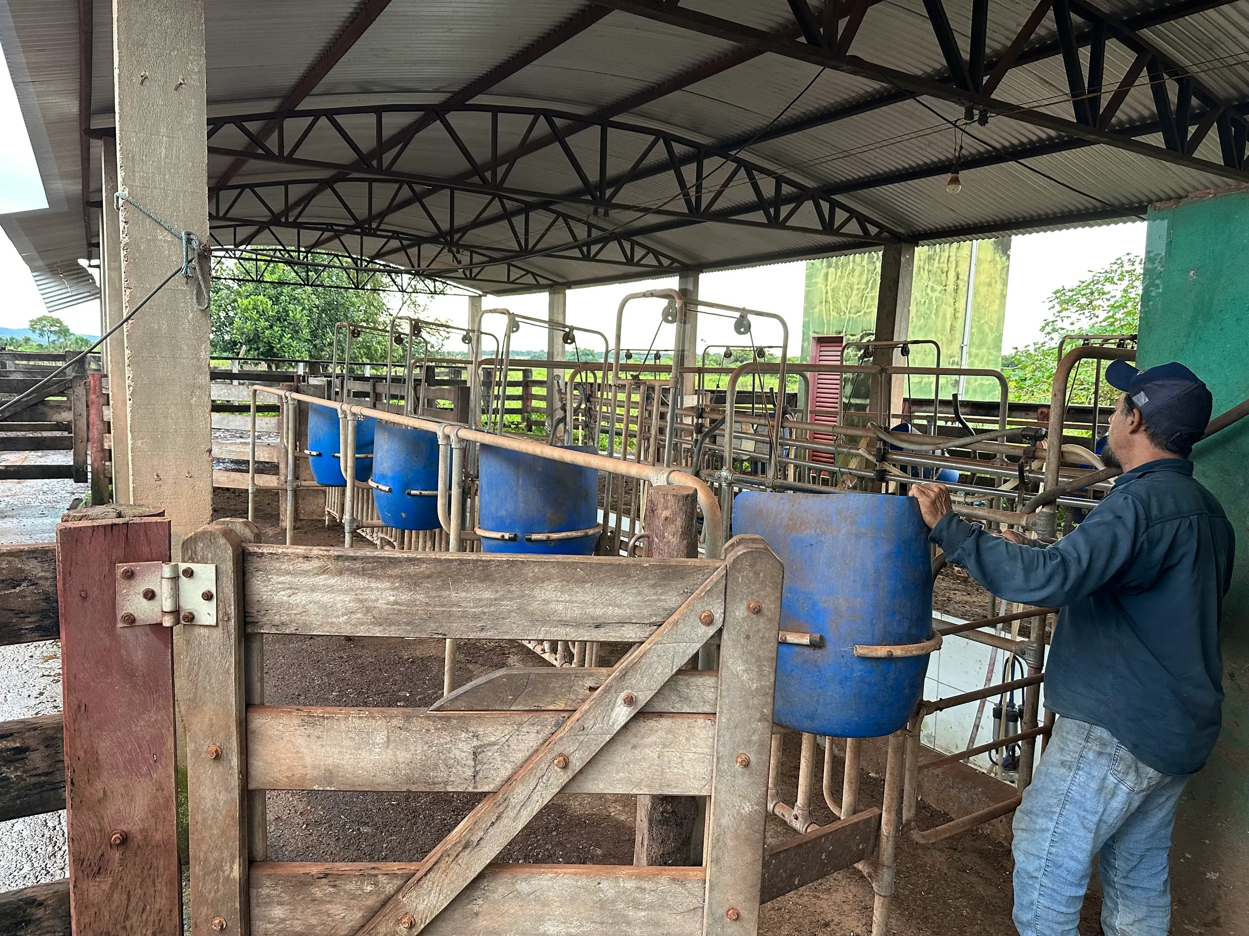 Fazenda à venda de 242 ha em Confresa, MT, Brasil