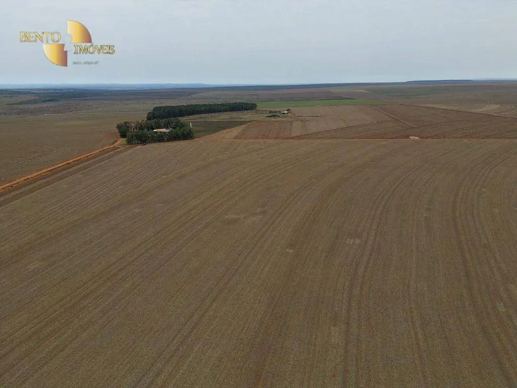 Fazenda à venda de 242 ha em Jangada, MT, Brasil