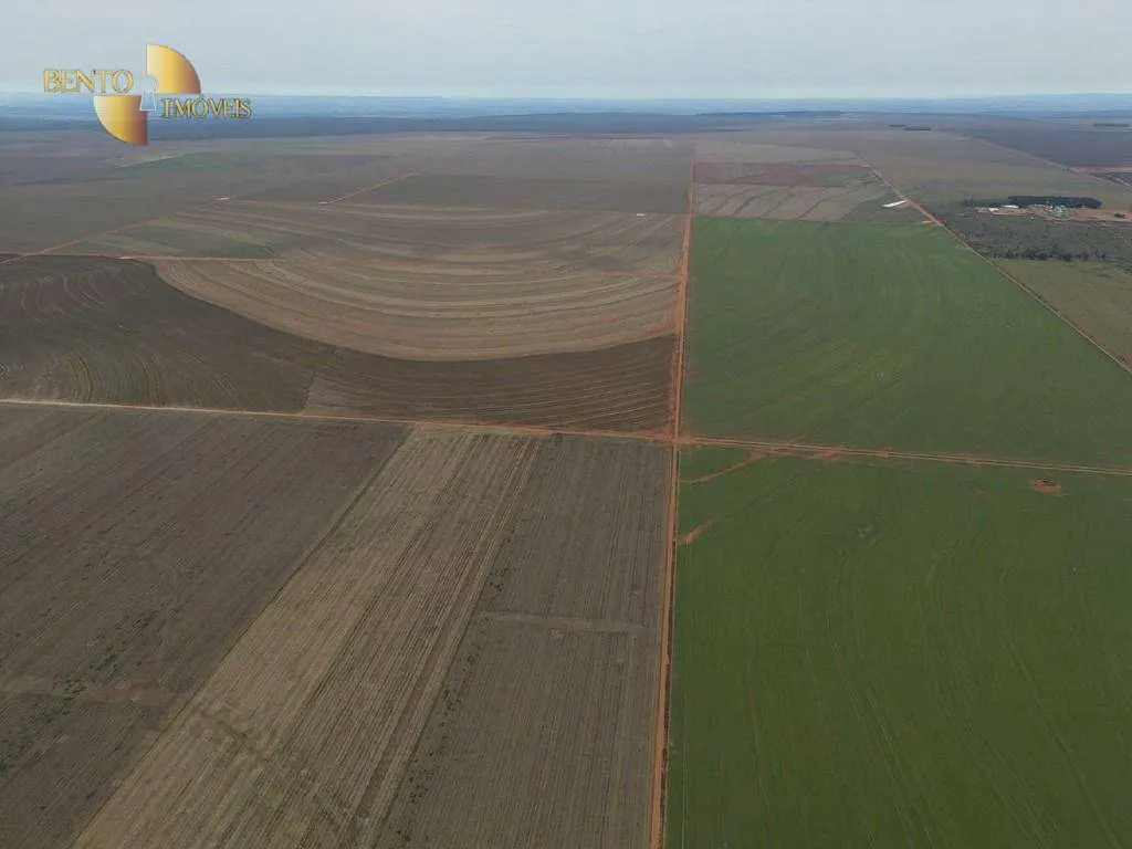 Fazenda à venda de 242 ha em Jangada, MT, Brasil