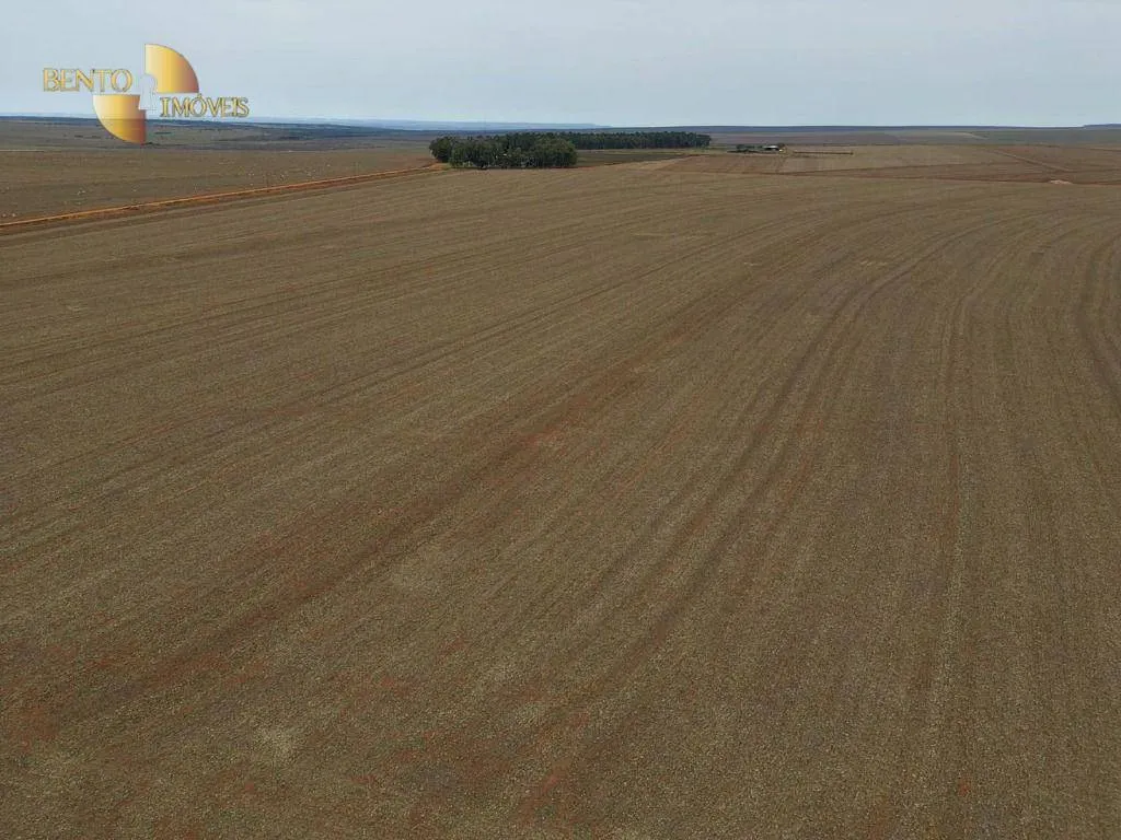 Fazenda à venda de 242 ha em Jangada, MT, Brasil