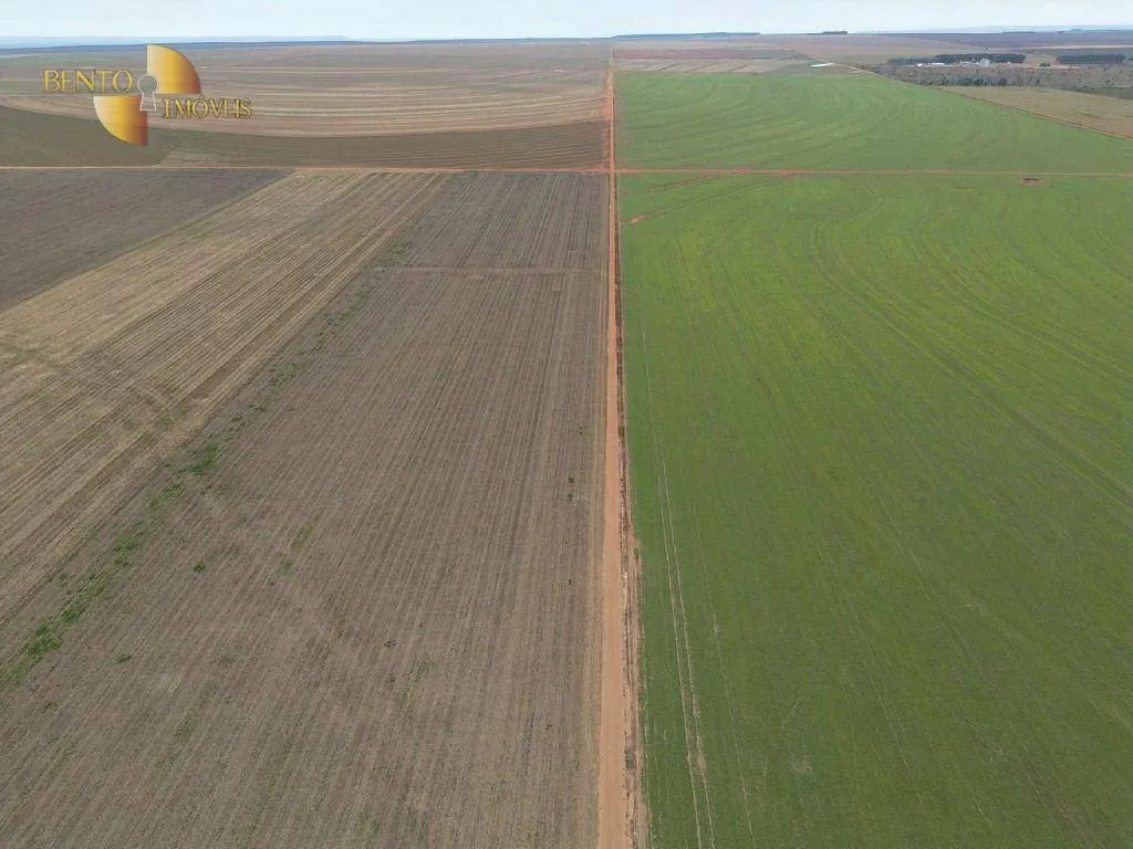 Fazenda à venda de 242 ha em Jangada, MT, Brasil