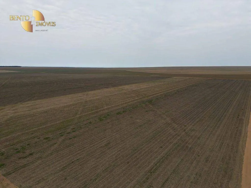 Fazenda à venda de 242 ha em Jangada, MT, Brasil