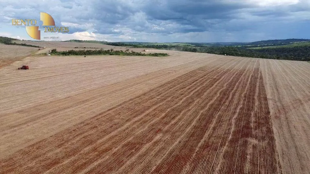 Fazenda à venda de 242 ha em Jangada, MT, Brasil
