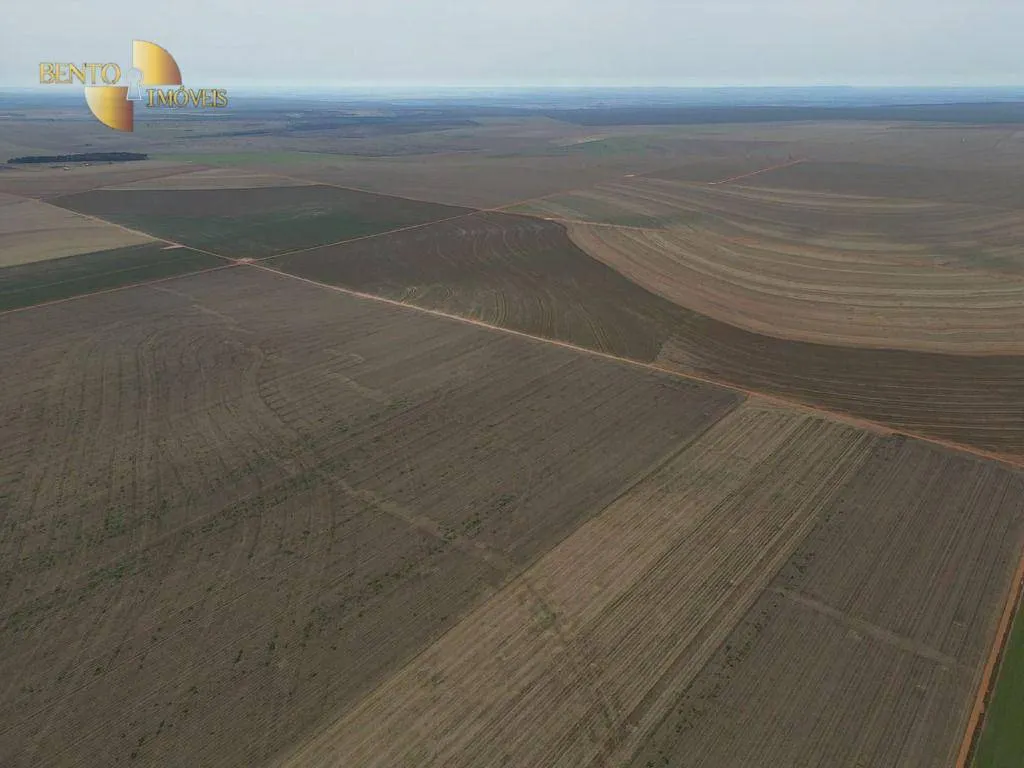 Fazenda à venda de 242 ha em Jangada, MT, Brasil