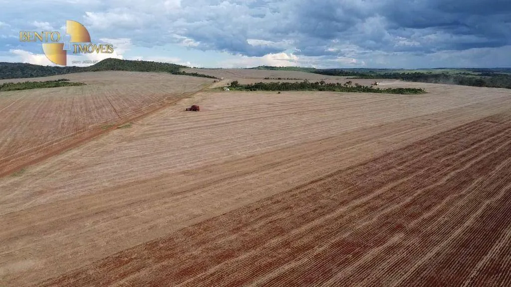 Fazenda à venda de 242 ha em Jangada, MT, Brasil