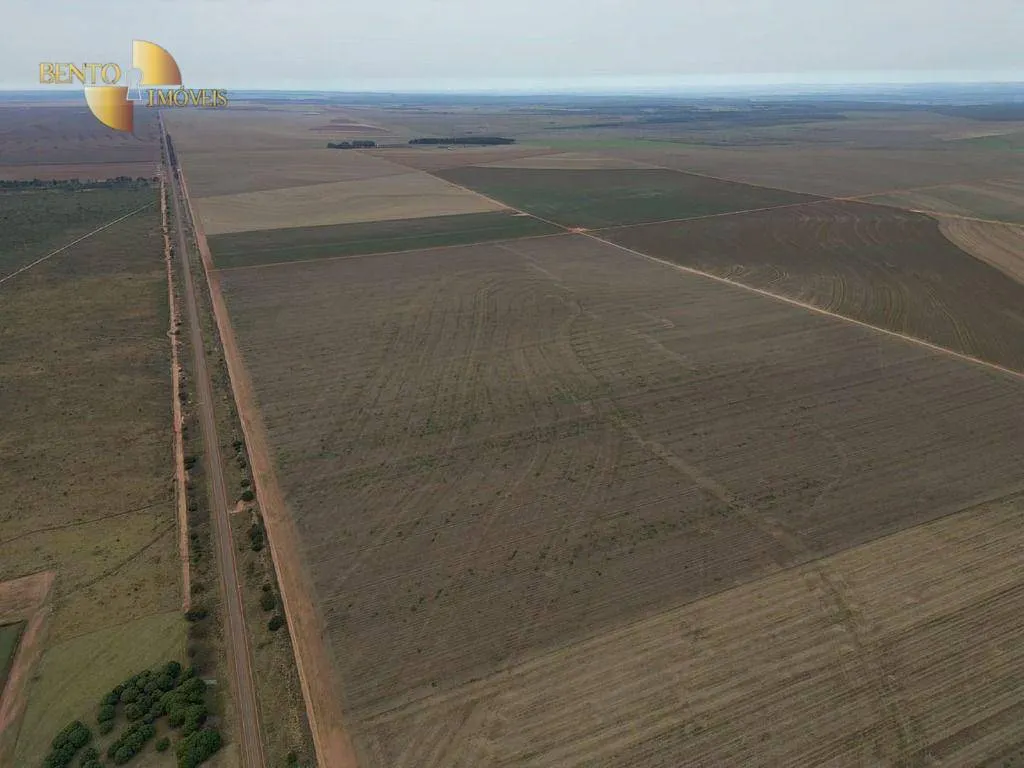 Fazenda à venda de 242 ha em Jangada, MT, Brasil